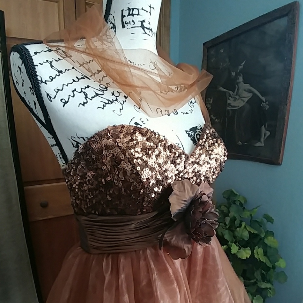 Formal Dress - Picture 2 of 4